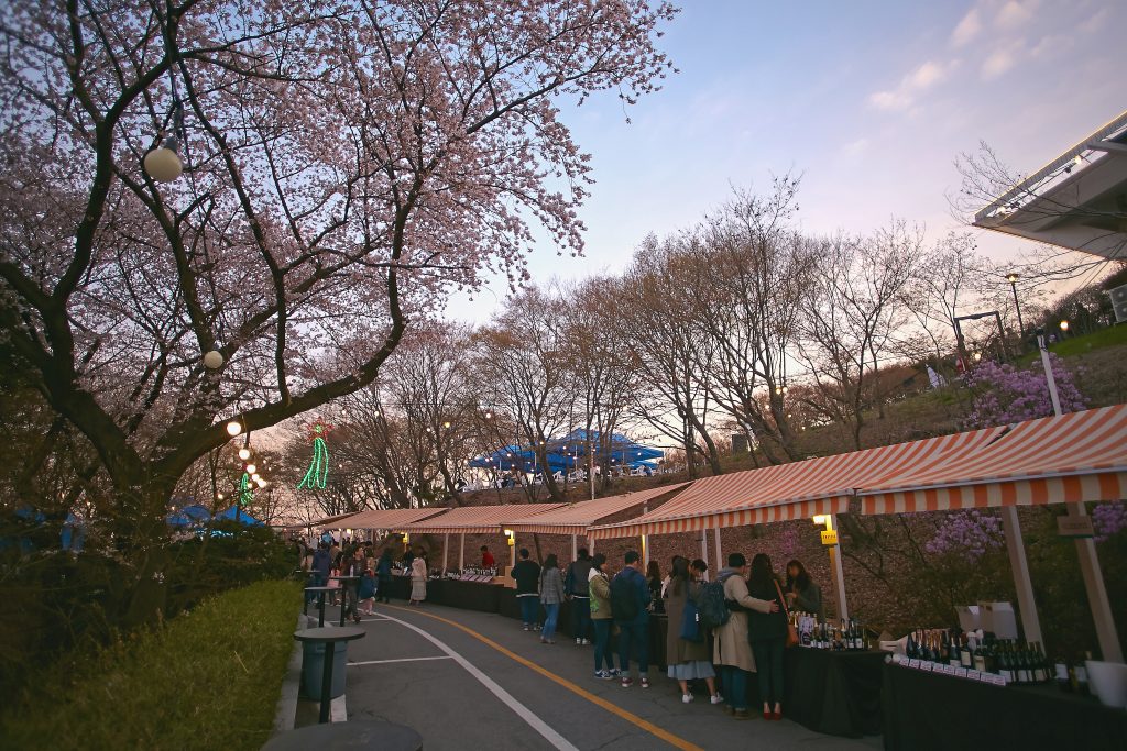 워커힐호텔, 벚꽃축제, 2019 봄 와인 페어, Walkerhill, Cherry blossoms Festival, 2019 Spring Wine Fair